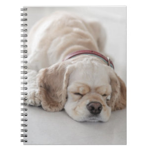 Caderno Espiral Sono do cão de cocker spaniel