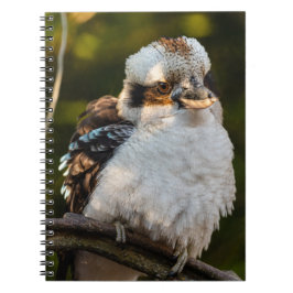 Caderno Espiral Soprava rindo kookaburra