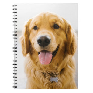 Caderno Espiral Sorriso de Ouro