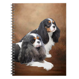 Caderno Espiral Spaniel de rei Charles descuidado
