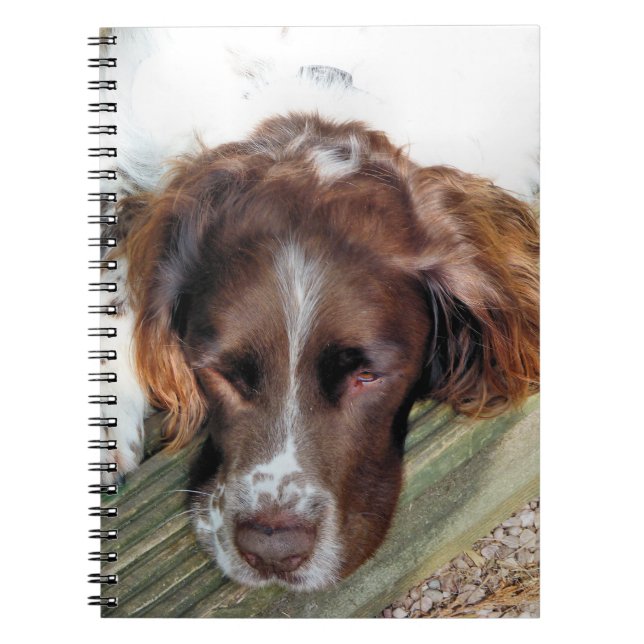 CADERNO ESPIRAL SPANIEL DOG (Frente)