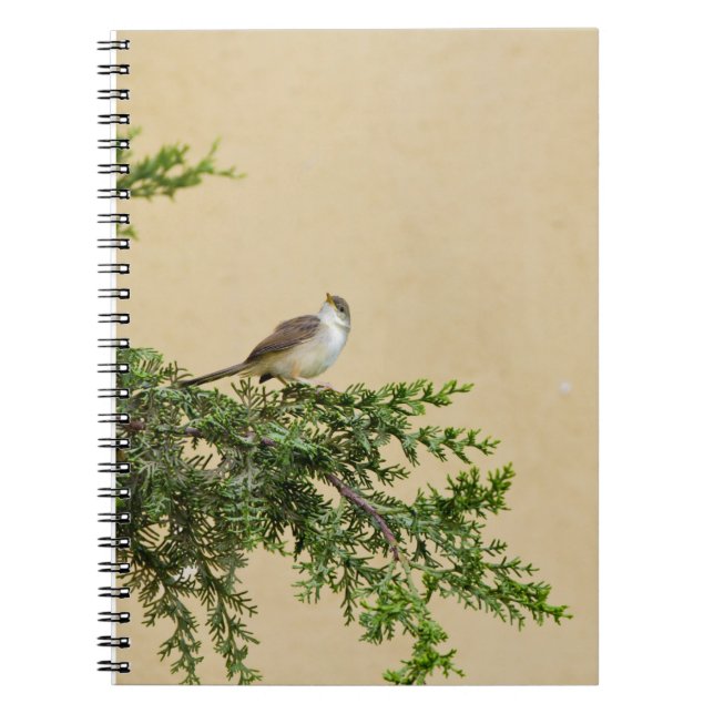 Caderno Espiral Sparrow (Frente)