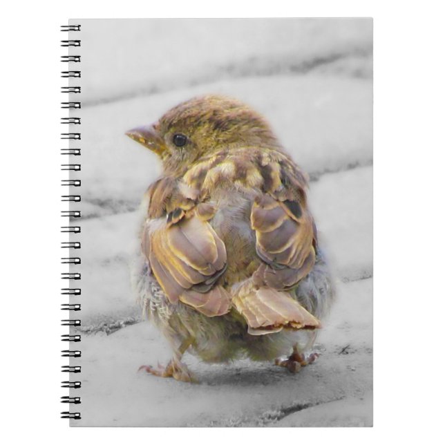 Caderno Espiral Sparrow Brown (Frente)