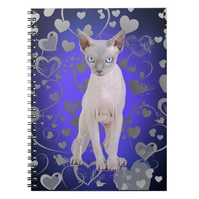 Caderno Espiral Sphynx cat (Frente)