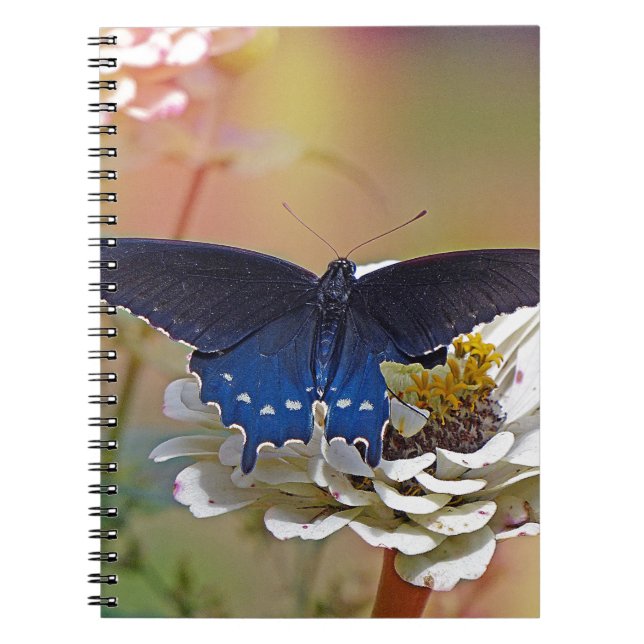 Caderno Espiral Spicebush Swallowtail (Frente)