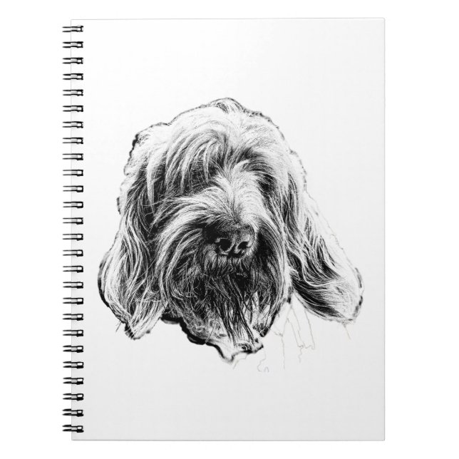 Caderno Espiral Spinone Italiano Dog Notebook (Frente)