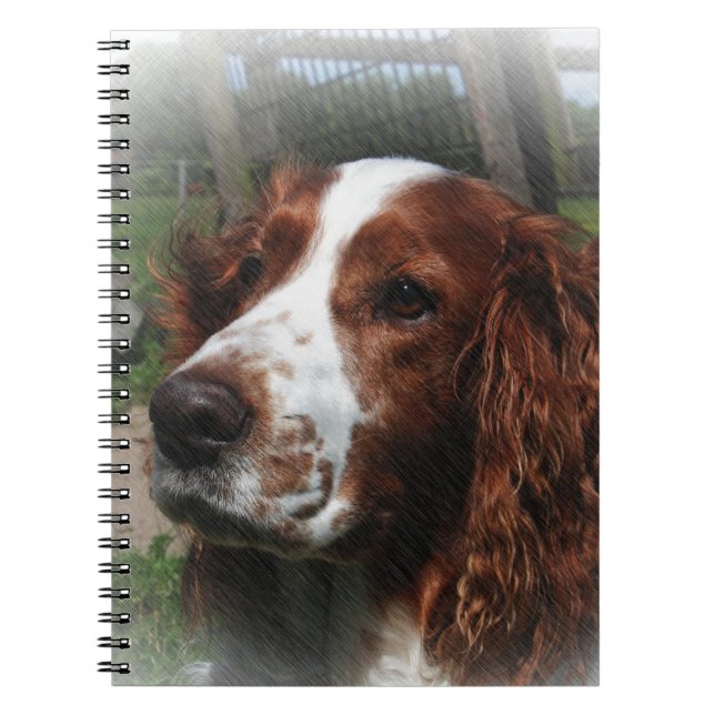 Caderno Espiral Springer Spaniel Dog Art (Frente)