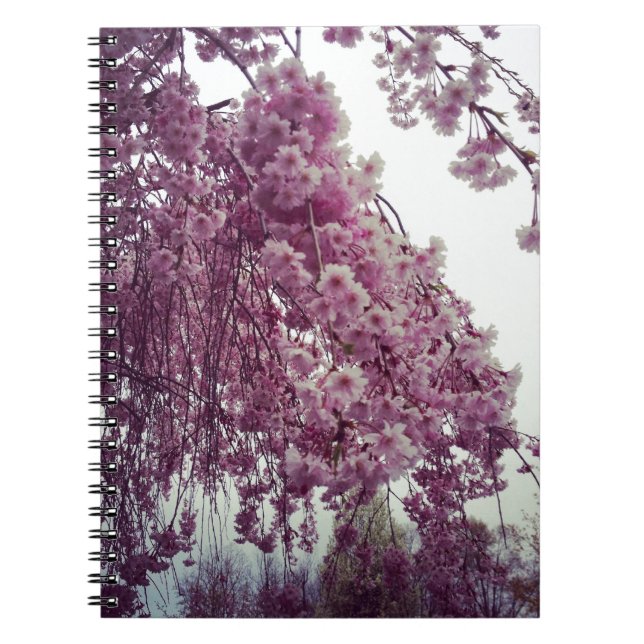 Caderno Espiral Springtime (Frente)