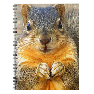 Caderno Espiral Squirrel Love
