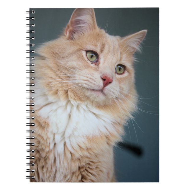 Caderno Espiral Sr. Handsome (Frente)