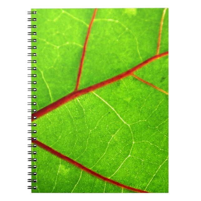 Caderno Espiral St Thomas 1 (Frente)