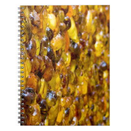 Caderno Espiral St Thomas 2