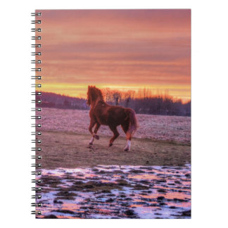 Caderno Espiral Stallion Running Home no Sunset no Ranch