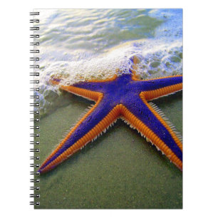 Caderno Espiral Starfish Tropical Sandy Beach Sea Wave