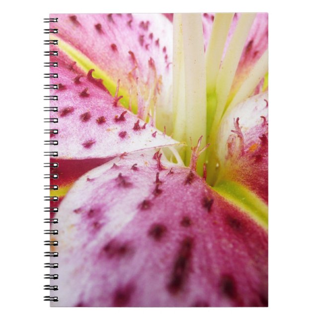 Caderno Espiral Stargazer Lily Bright Magenta Floral (Frente)