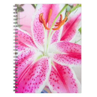 Caderno Espiral Stargazer Lily Flower