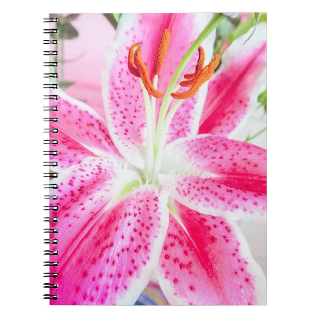 Caderno Espiral Stargazer Lily Flower (Frente)