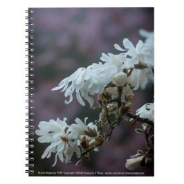 Caderno Espiral Starry Magnolia 5780
