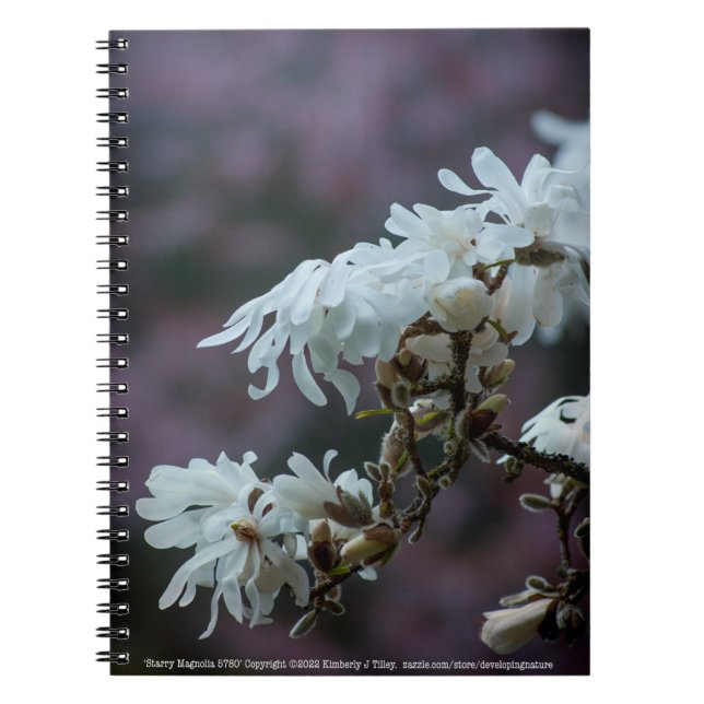 Caderno Espiral Starry Magnolia 5780 (Frente)