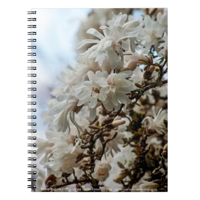 Caderno Espiral Starry Magnolia 5781 (Frente)
