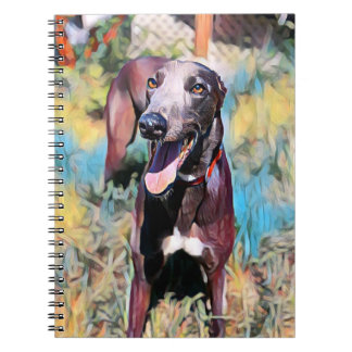 Caderno Espiral Steely