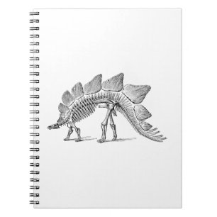 Caderno Espiral Stegossauro Dinossauro Esqueleto Fóssil