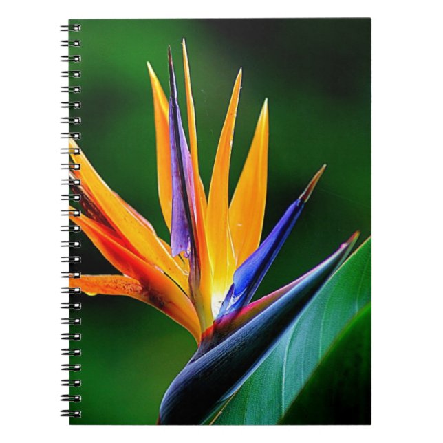 Caderno Espiral Strelitzia. Pássaro da flor de paraíso (Frente)