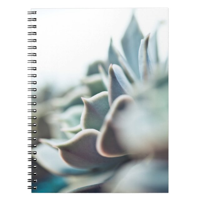 Caderno Espiral Succulent de Echeveria (Frente)