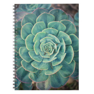 Caderno Espiral Succulent do Fim-acima