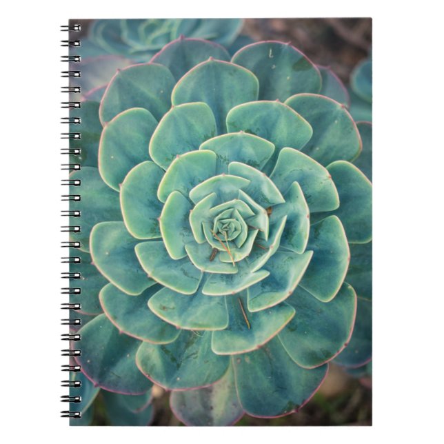 Caderno Espiral Succulent do Fim-acima (Frente)