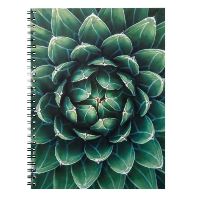 Caderno Espiral Succulent verde & branco (Frente)