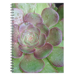 Caderno Espiral Suculente