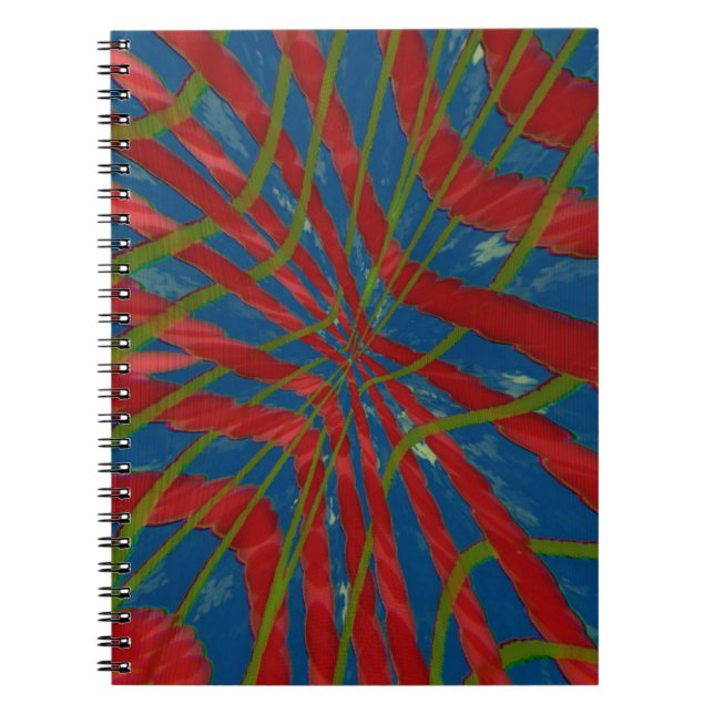 Caderno Espiral Sugado (Frente)
