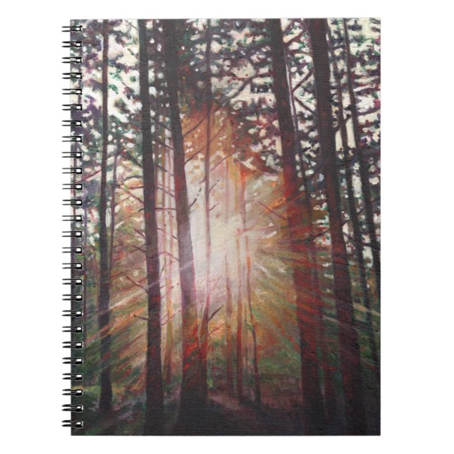 Caderno Espiral Sunburst 2010 (Frente)