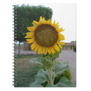 Caderno Espiral Sunflower Art Impressão