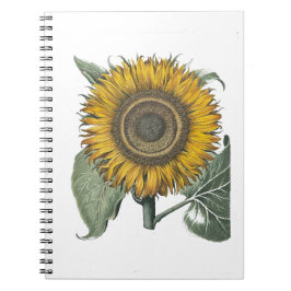 Caderno Espiral Sunflower Hortus Eystettensis , 1713