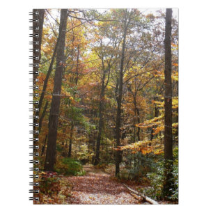 Caderno Espiral Sunlit Fall Trail no Parque Estadual de Laurel Hil