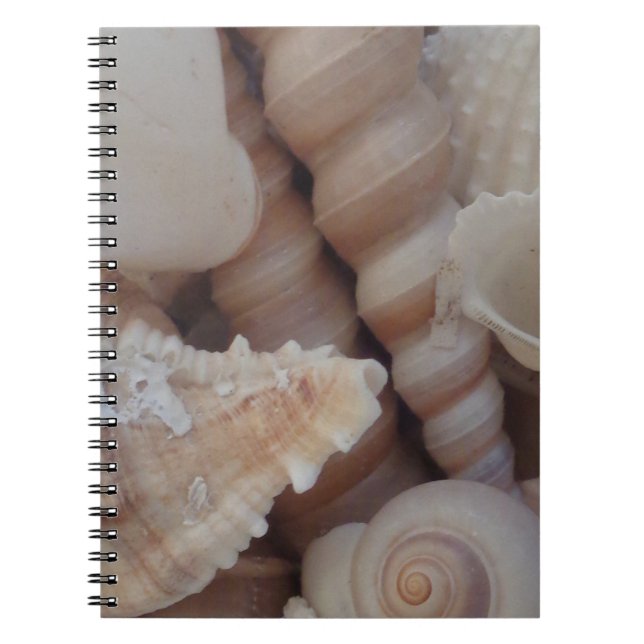 Caderno Espiral Sunny Summer Seasheles, Sea Shell Beach Love (Frente)