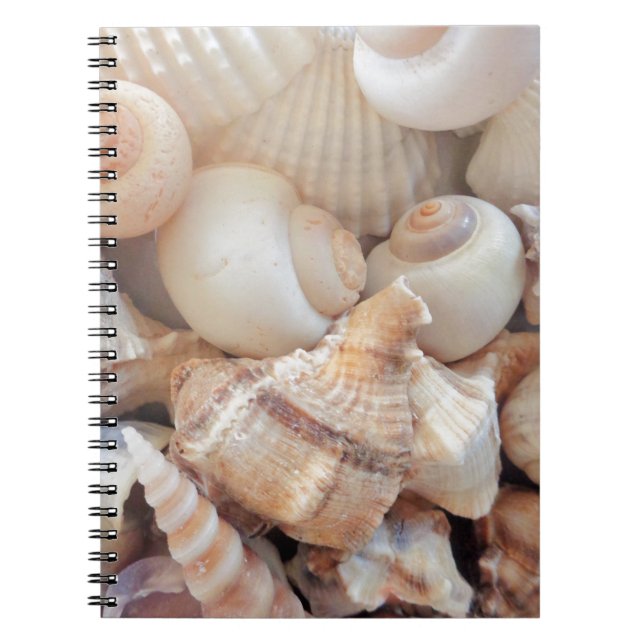 Caderno Espiral Sunny Summer Seasheles, Sea Shells Beach Love (Frente)