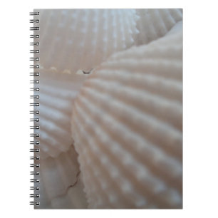 Caderno Espiral Sunny White Seashells, Sea Shell Beach Summer Love