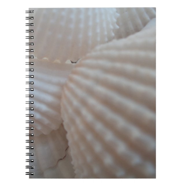 Caderno Espiral Sunny White Seashells, Sea Shell Beach Summer Love (Frente)