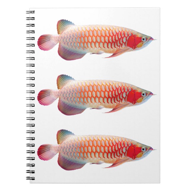 Caderno Espiral “Super Red Arowana”のスプリングノート (Frente)