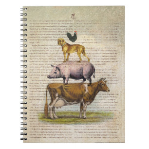Caderno Espiral Suporte A1.tif da fazenda NOB10