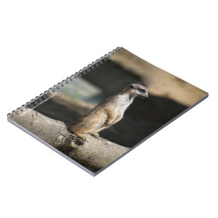 Caderno Espiral Suricata