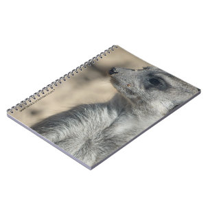 Caderno Espiral Suricata engraçada