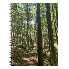 Caderno Espiral Sussuros da Floresta