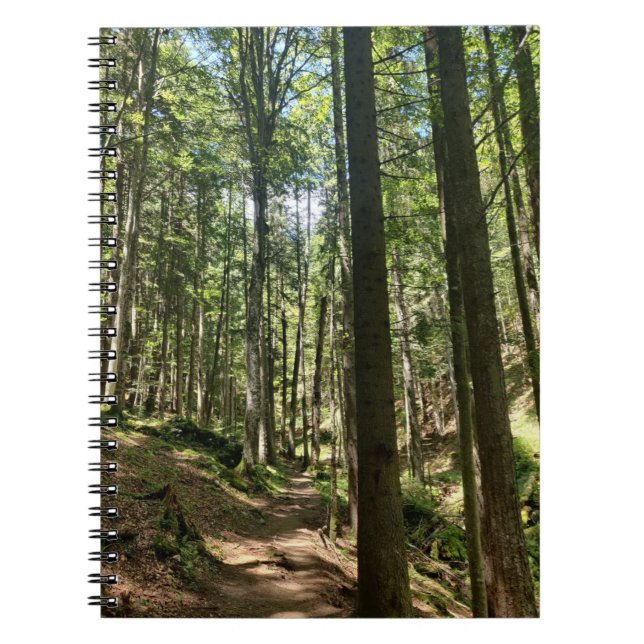 Caderno Espiral Sussuros da Floresta (Frente)