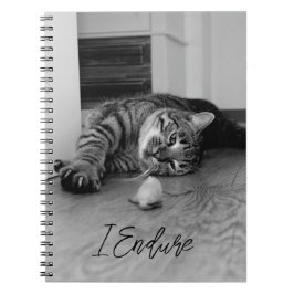 Caderno Espiral Tabby Cat Bordado Deitado ao Lado Olhando para o R
