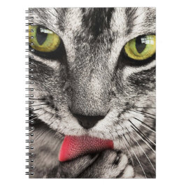 Caderno Espiral Tabby Cat Licing Paw