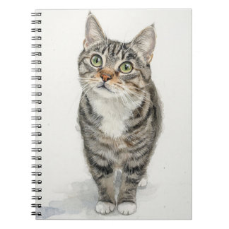Caderno Espiral Tabby Muse